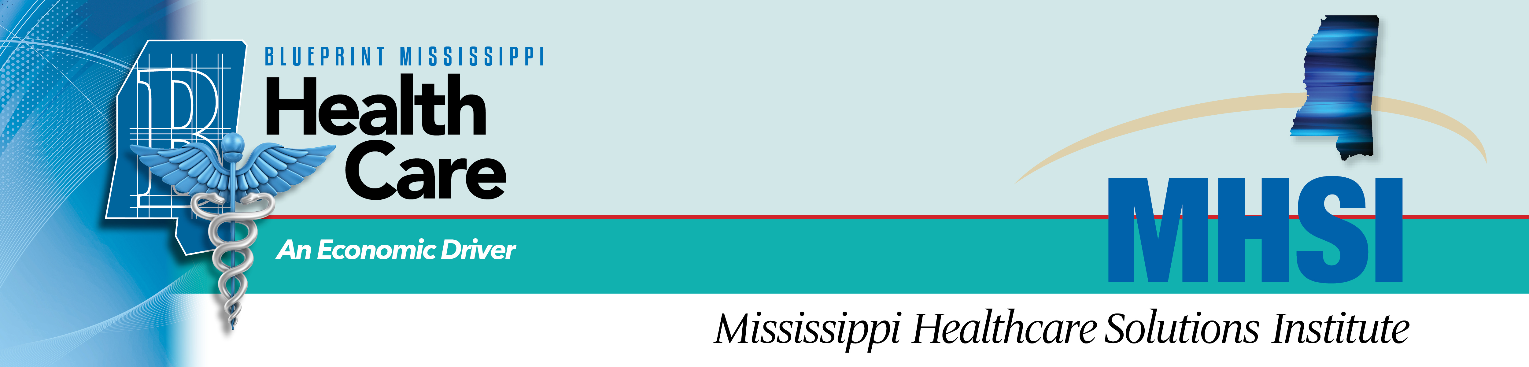 Mississippi Healthcare Solutions Institute